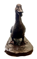 Family of Ducks