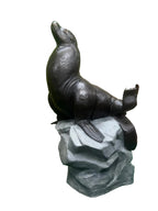 Sea Lion