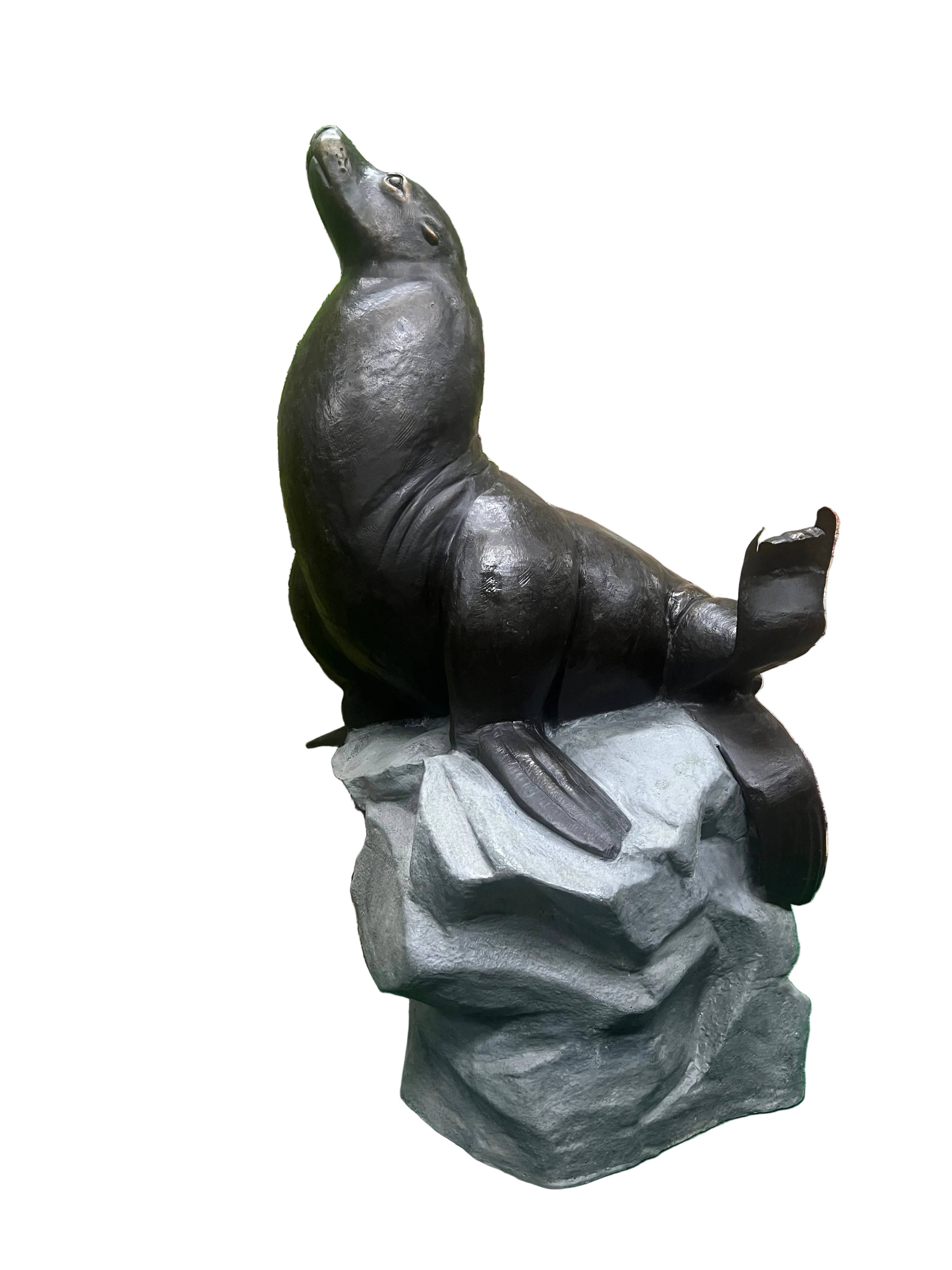Sea Lion