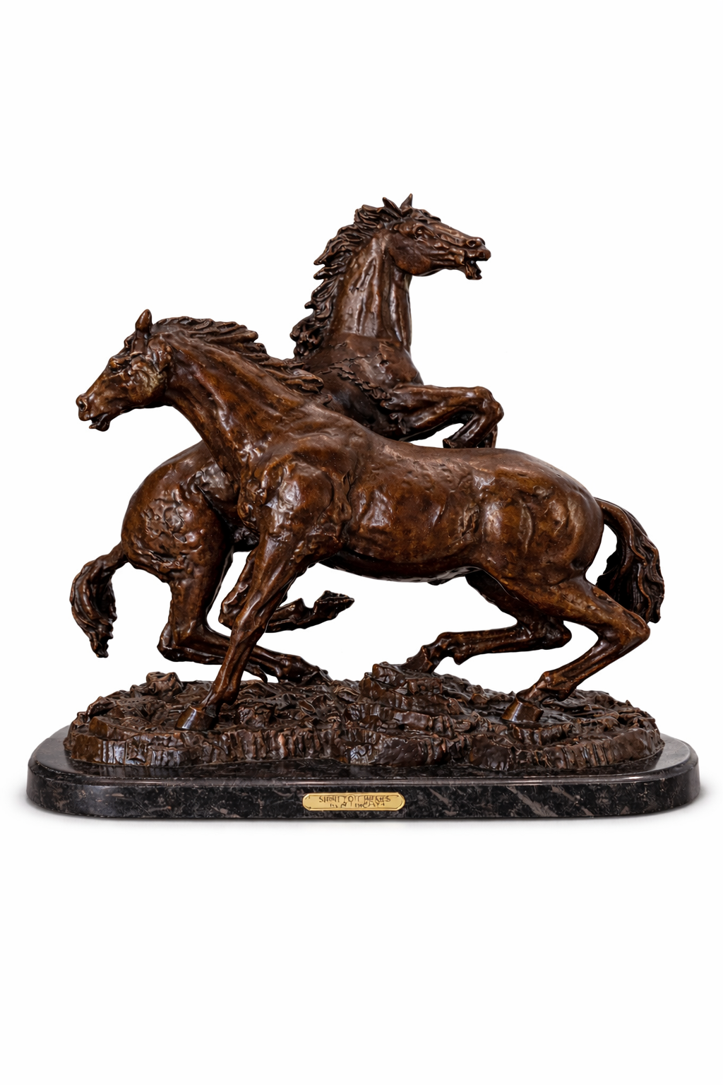 Fighting Stallions