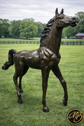 Life Size Yearling