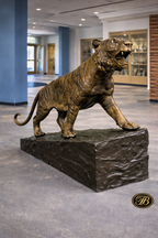 Tiger Climbing Up Rock