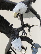 Fighting Eagles close up together