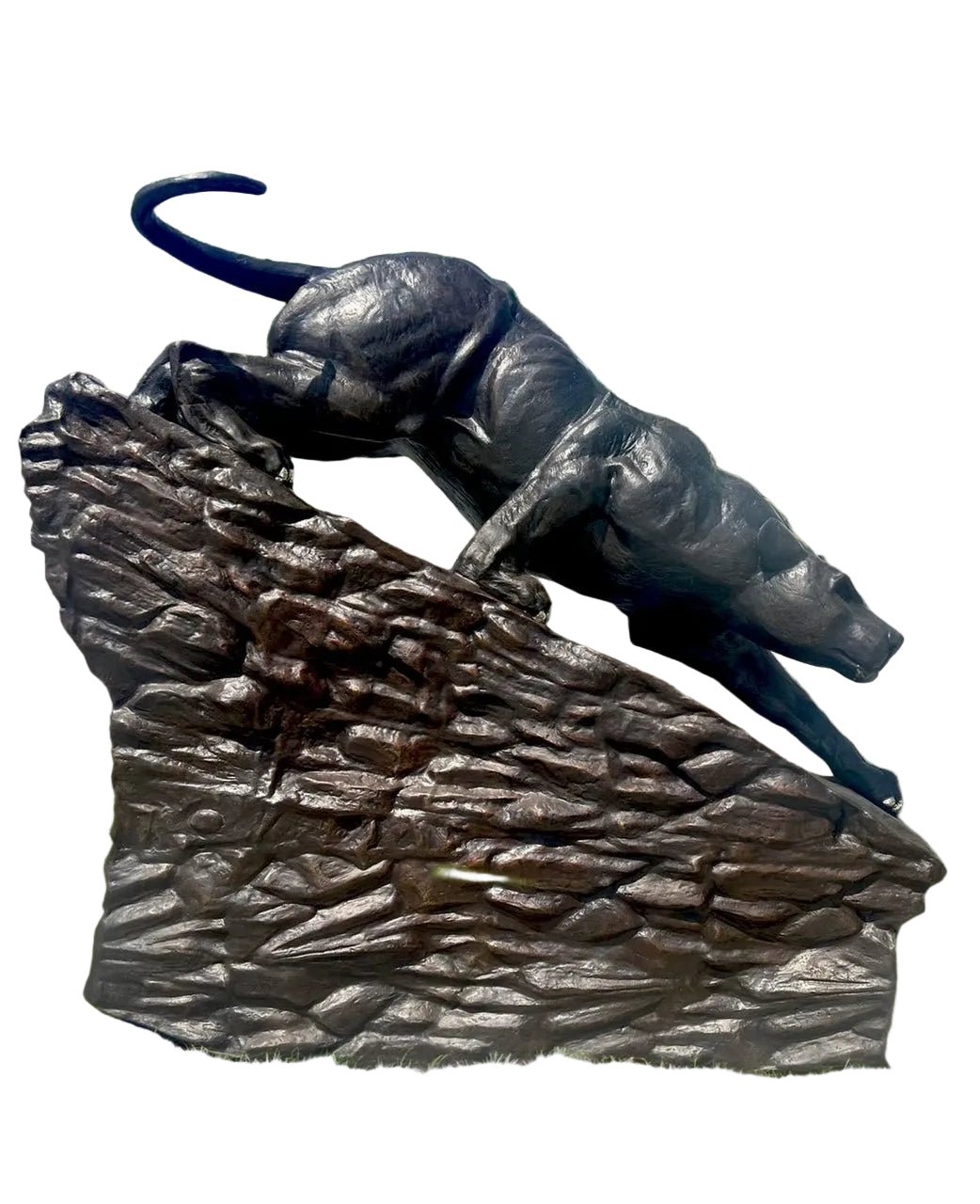 Heroic Stalking Panther on Rock