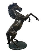Rearing Stallions Set