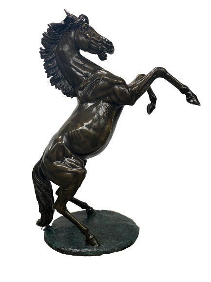 Rearing Stallions Set