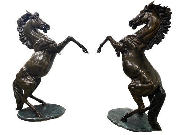 Rearing Stallions Set