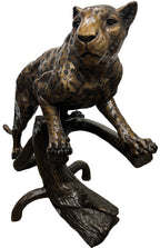 Jaguar on Log