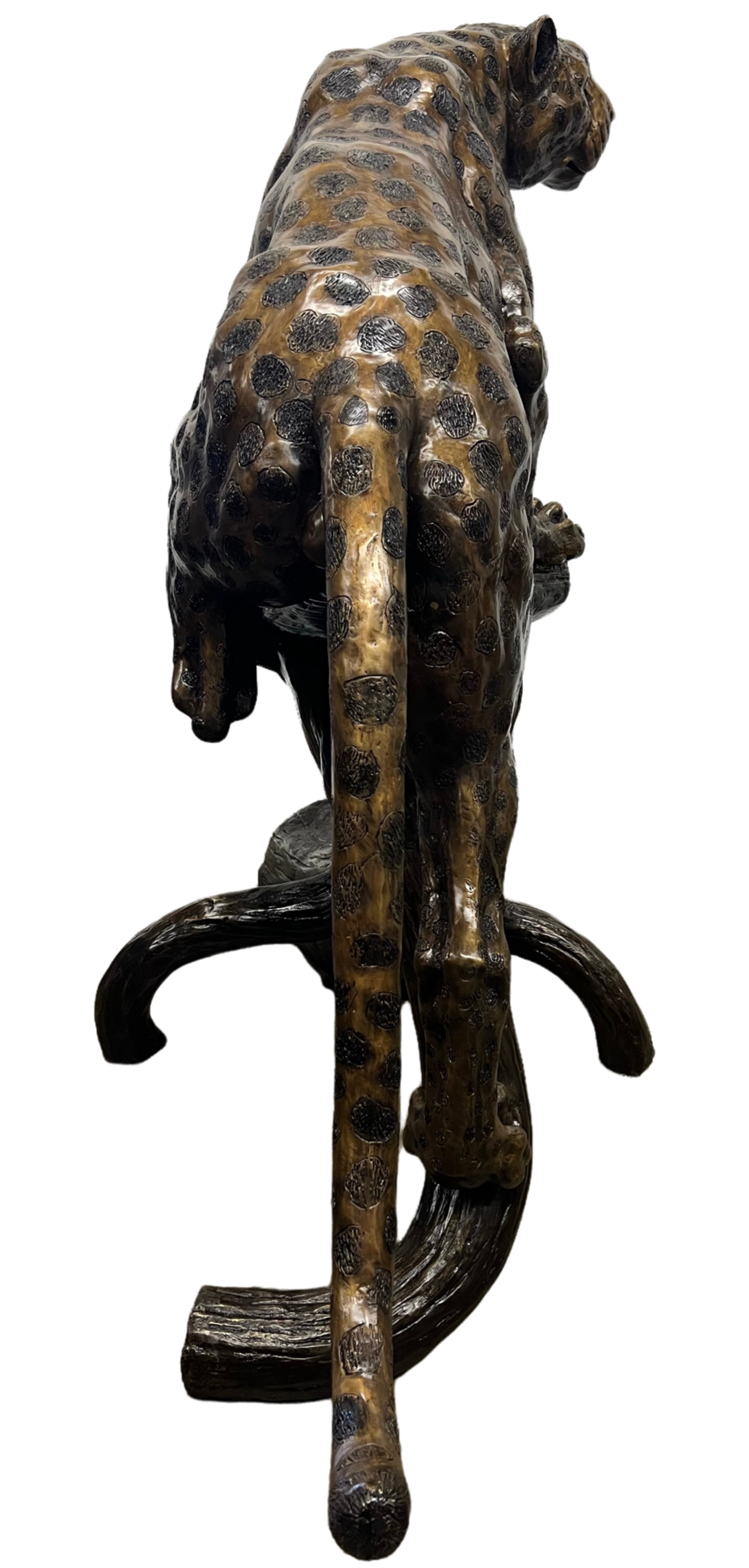 Jaguar on Log