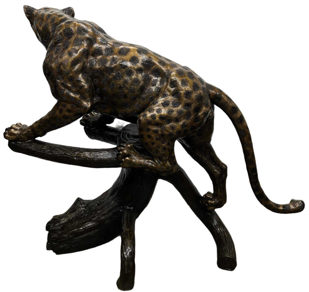 Jaguar on Log