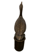 Pelican