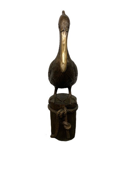Pelican