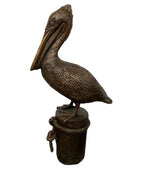 Pelican