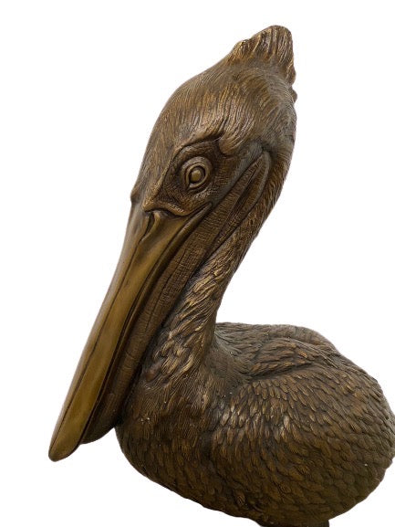 Pelican