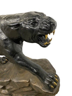 Black Panther on Rock