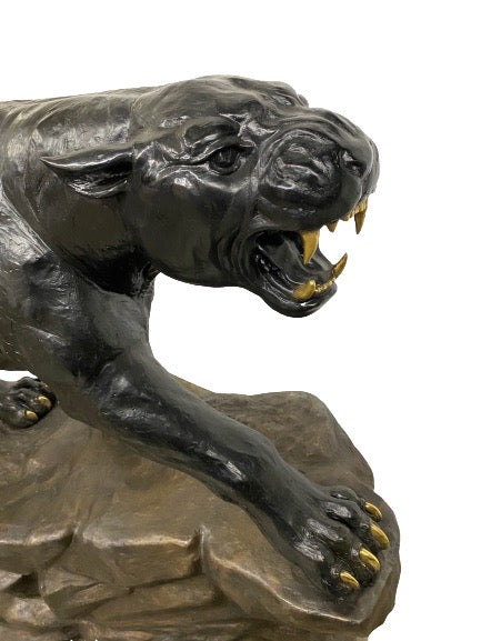 Black Panther on Rock