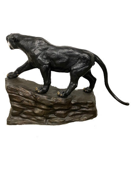 Black Panther on Rock