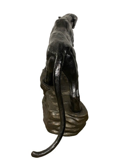 Black Panther on Rock