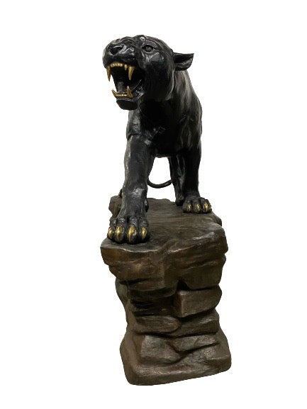 Black Panther on Rock