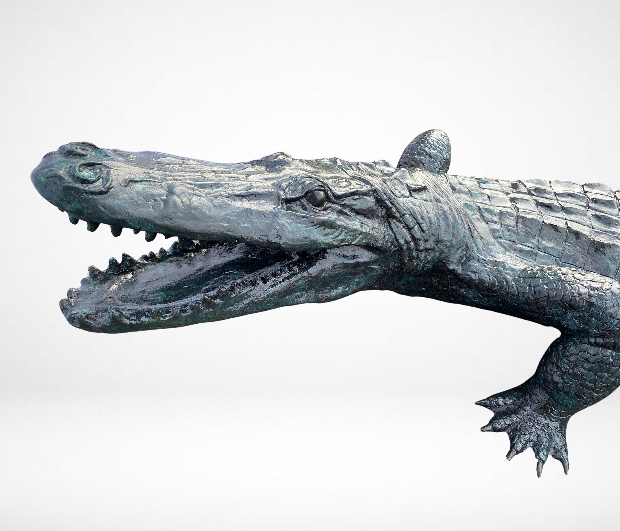 Crocodile