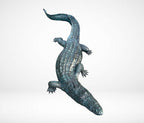 Crocodile