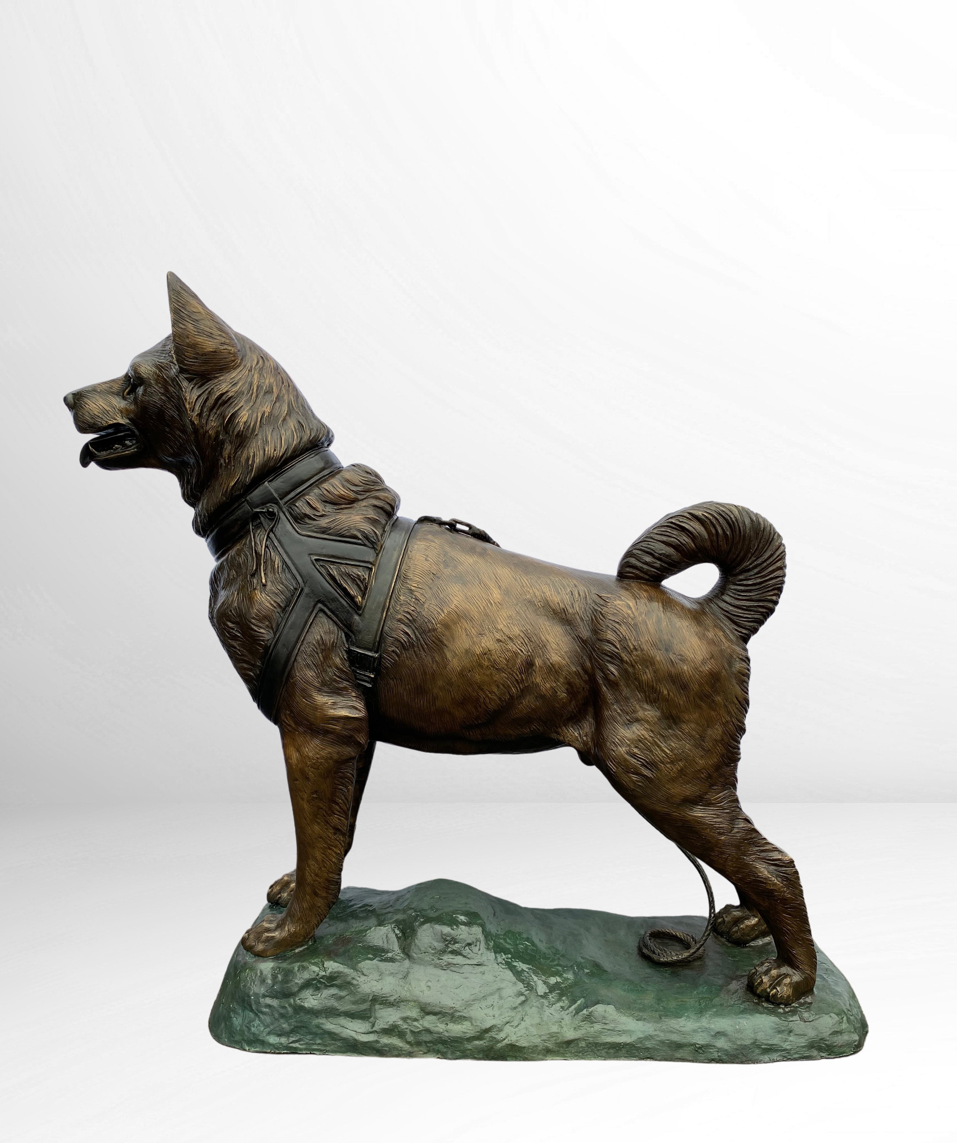Husky