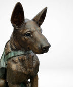 German Shepherd Service Dog