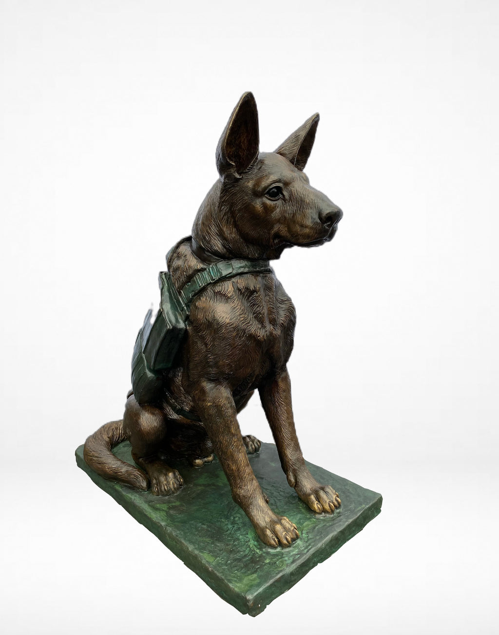 German Shepherd Service Dog