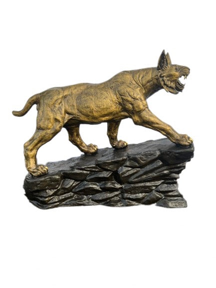 Bobcat on Rock