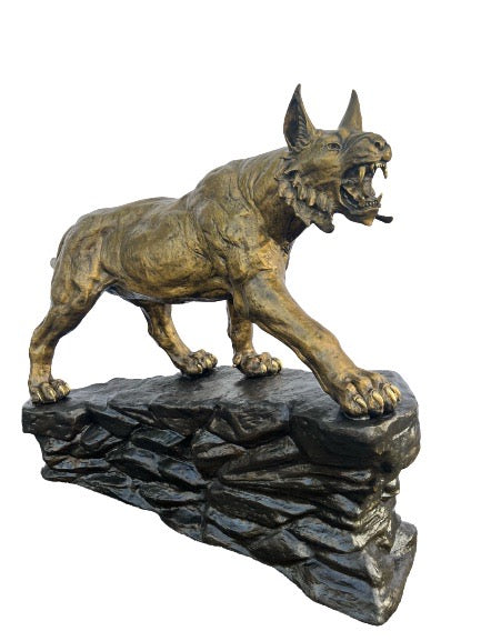 Bobcat on Rock