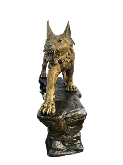 Bobcat on Rock