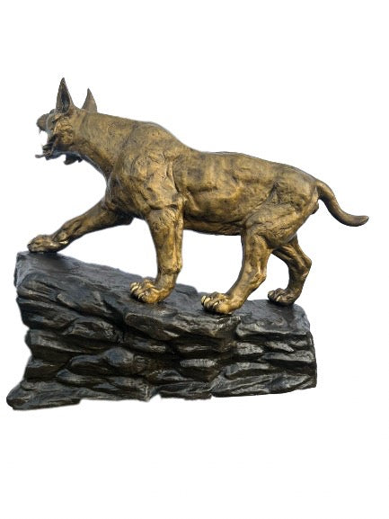 Bobcat on Rock