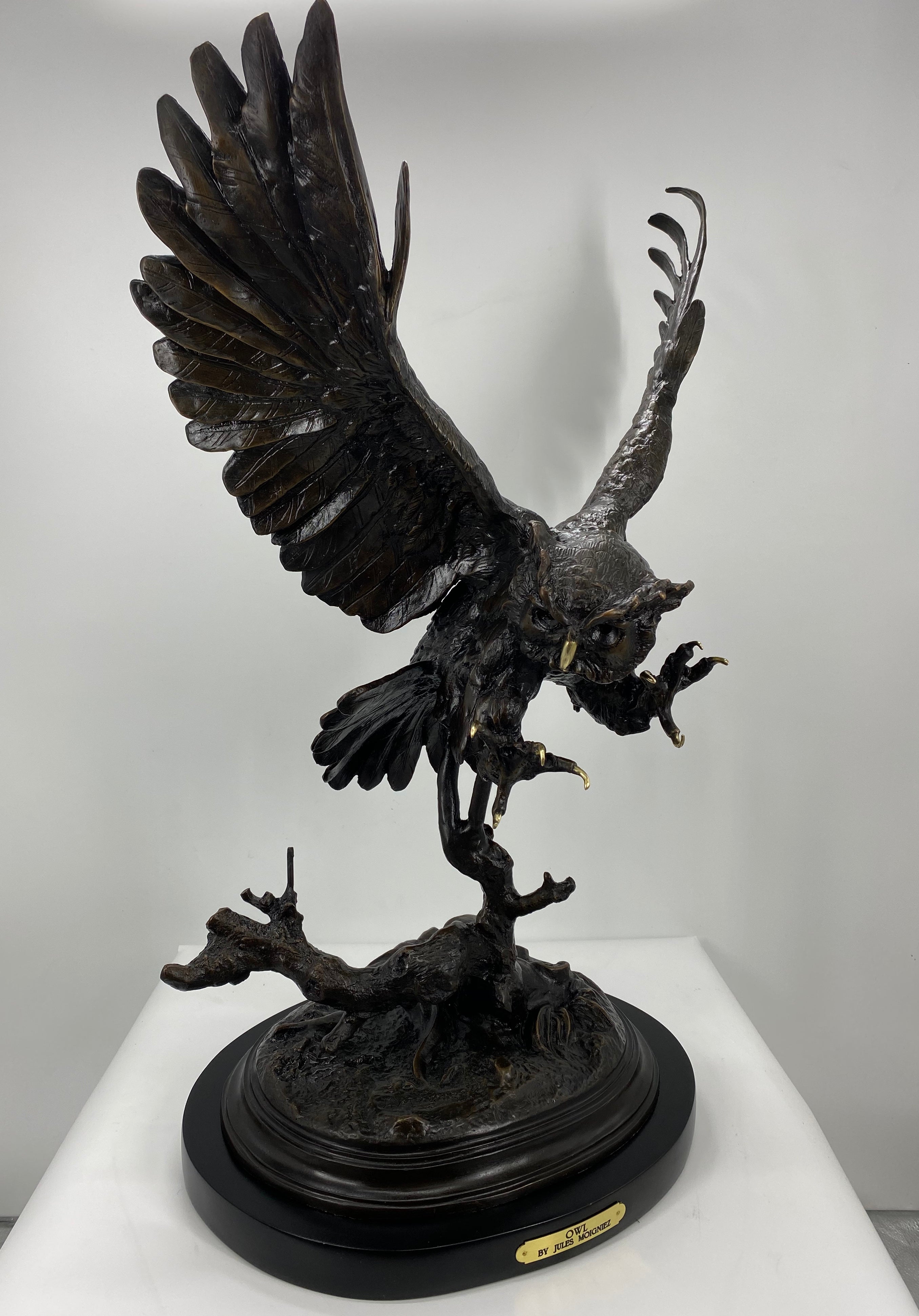 Owl
