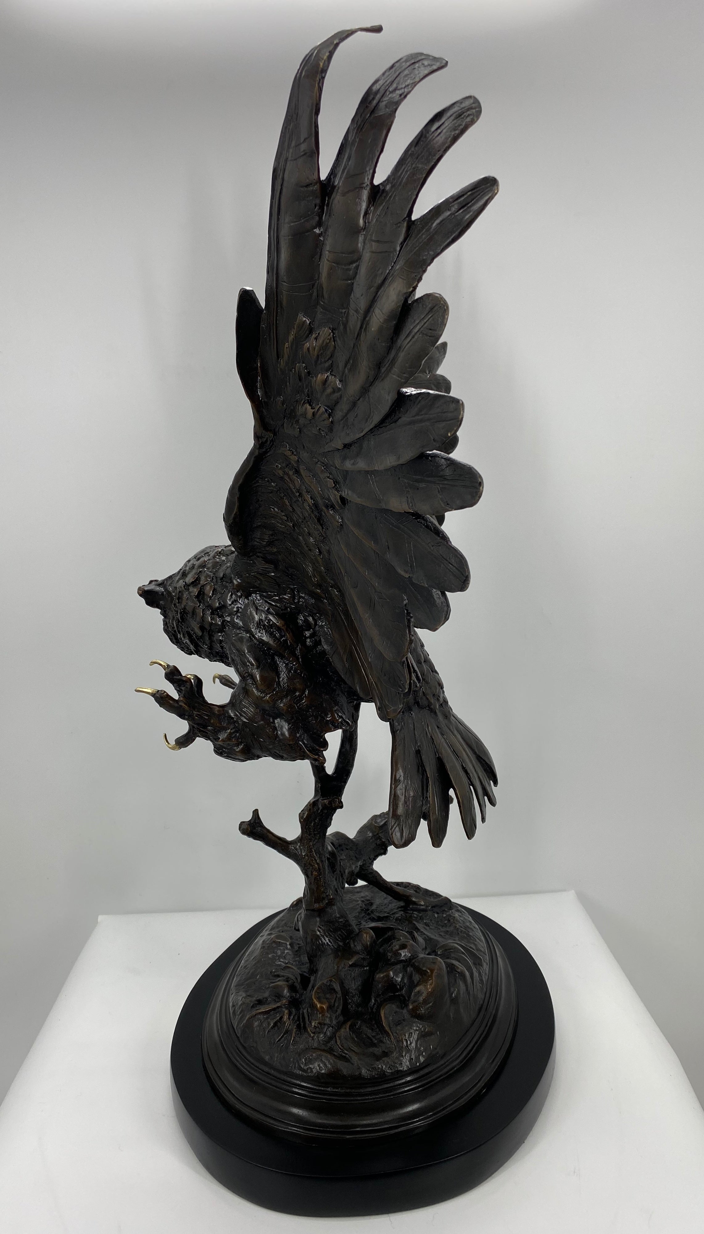 Owl