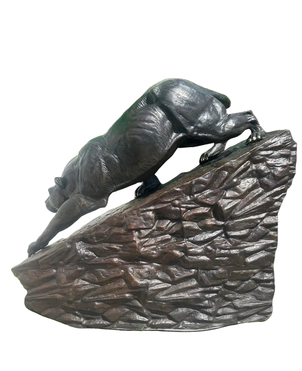 Heroic Stalking Panther on Rock