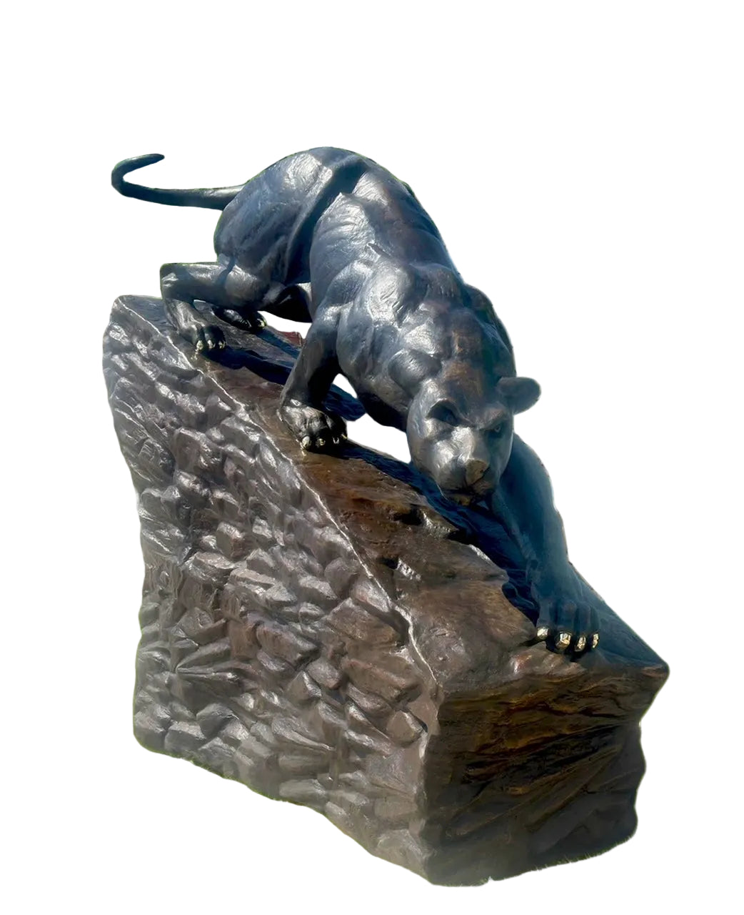 Heroic Stalking Panther on Rock