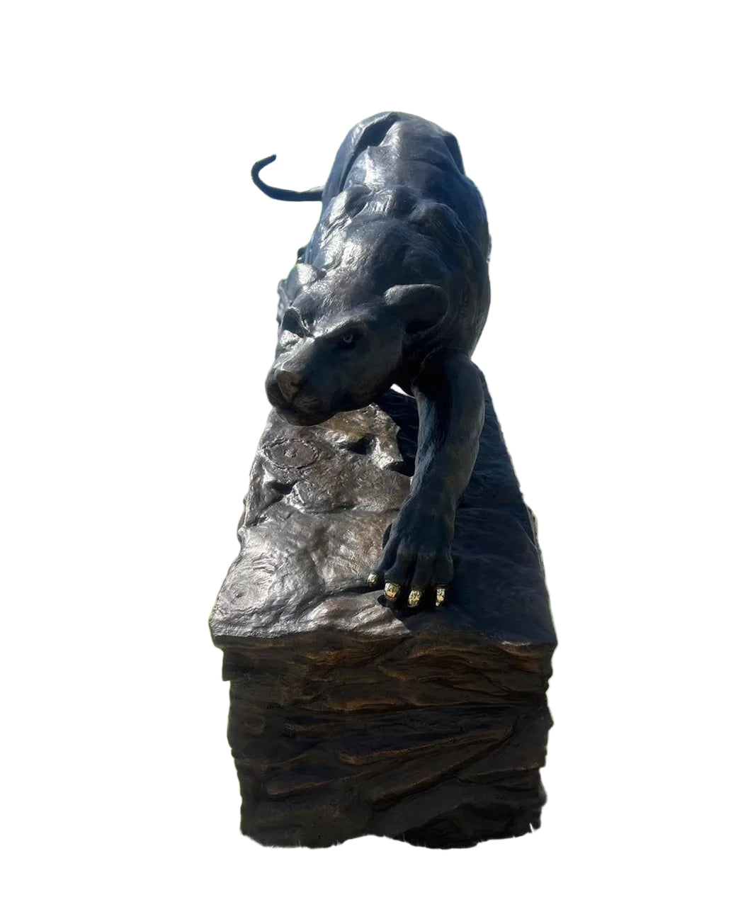 Heroic Stalking Panther on Rock