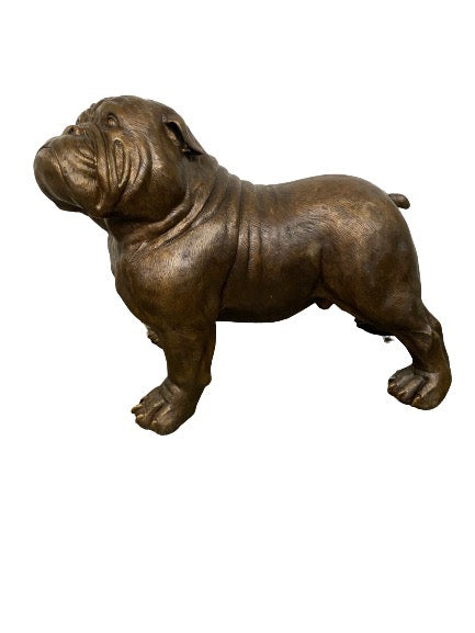 Jumbo Bulldog