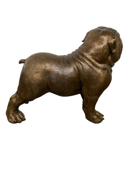 Jumbo Bulldog