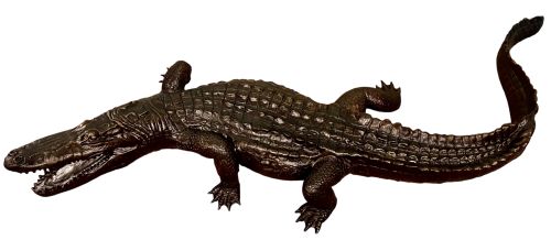 Crocodile