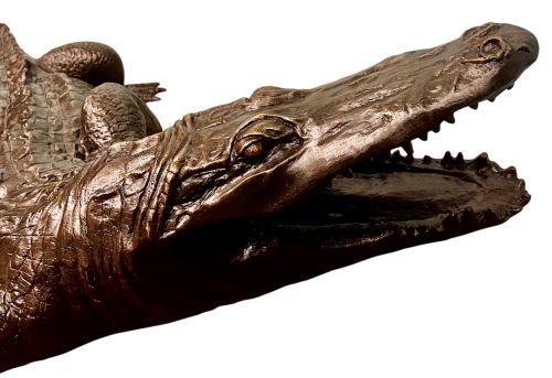 Crocodile