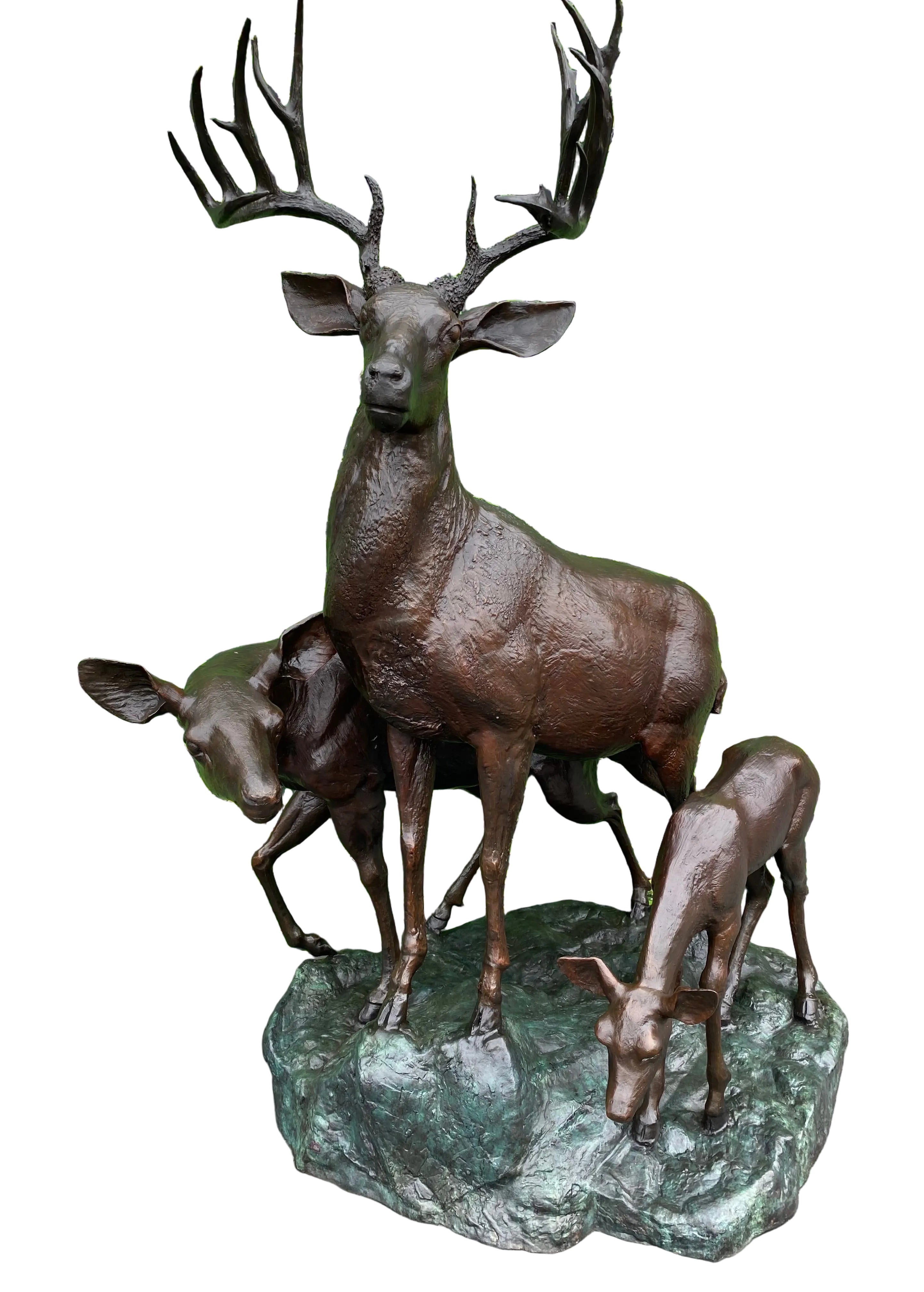 Deer Family