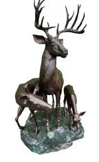 Deer/Elk Family