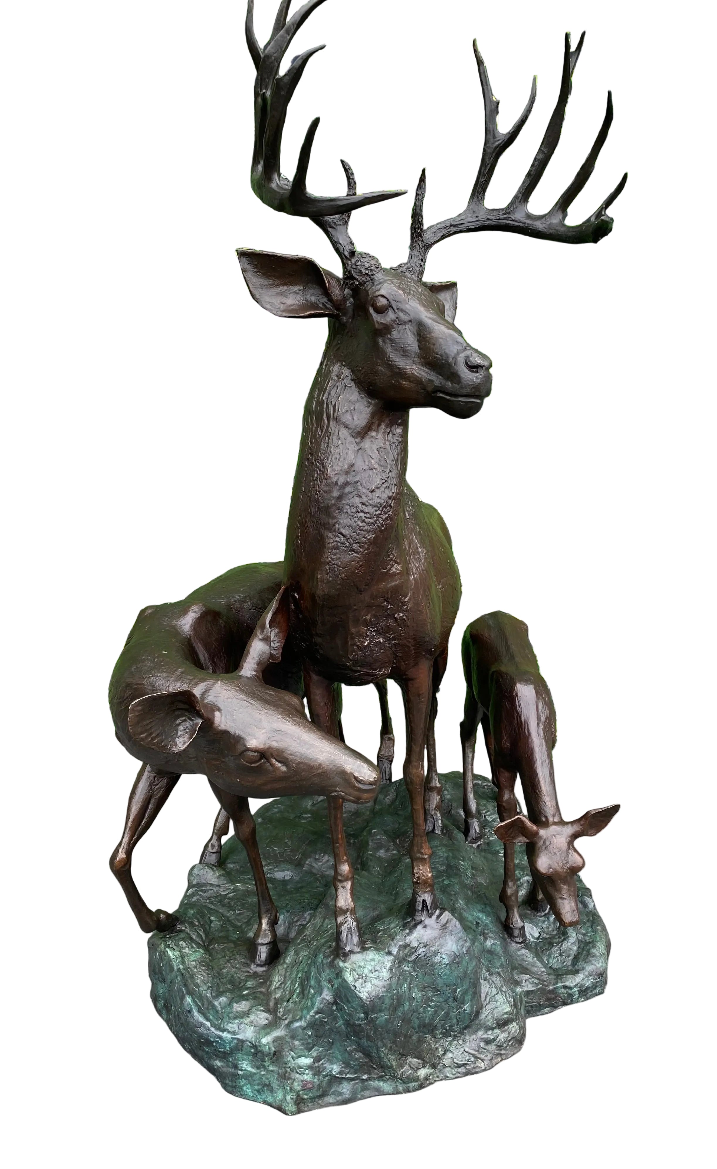 Deer Family