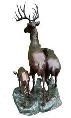 Deer/Elk Family