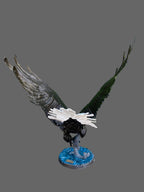 Eagle with Prey