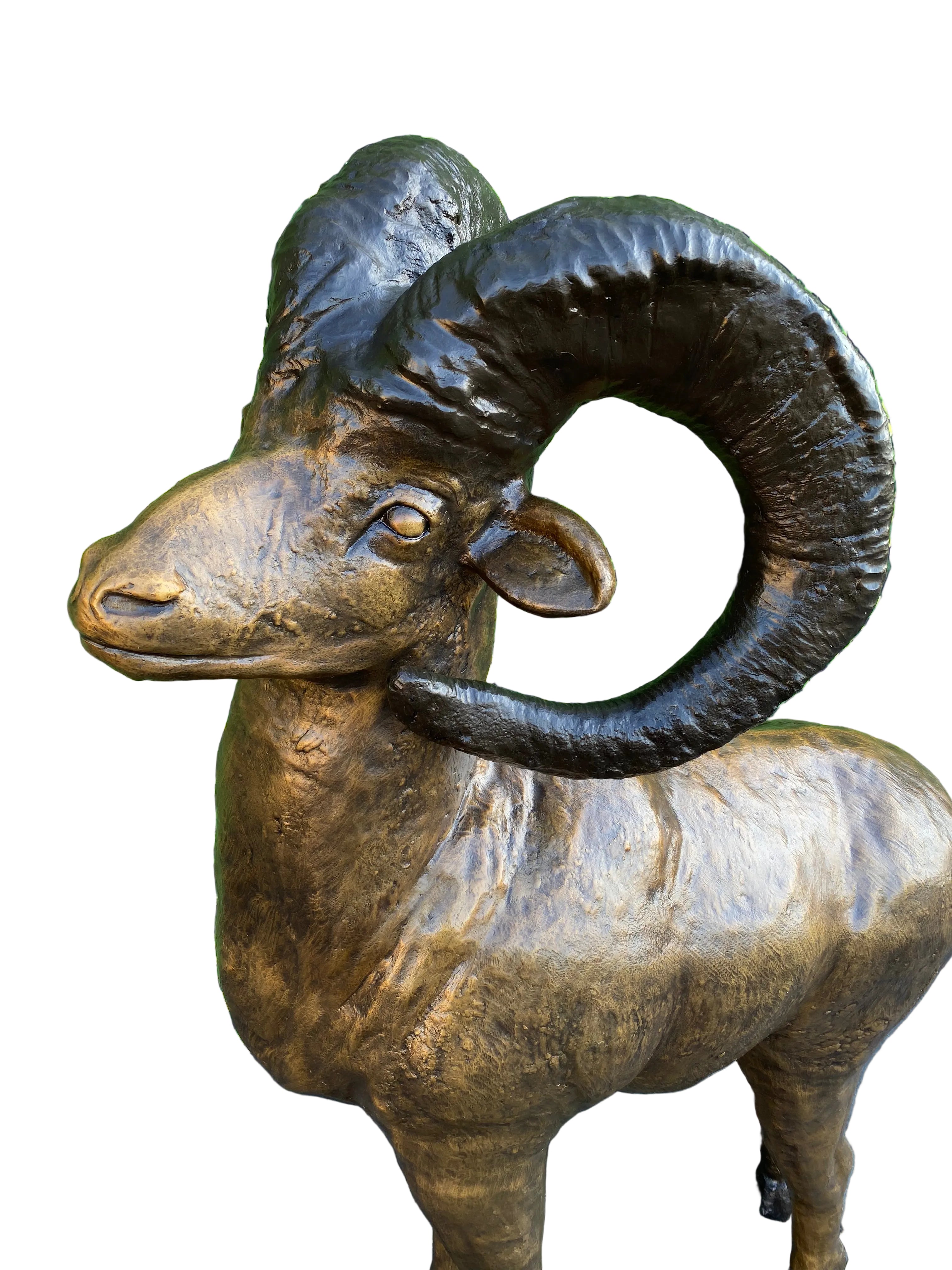 Monumental Big Horn Sheep