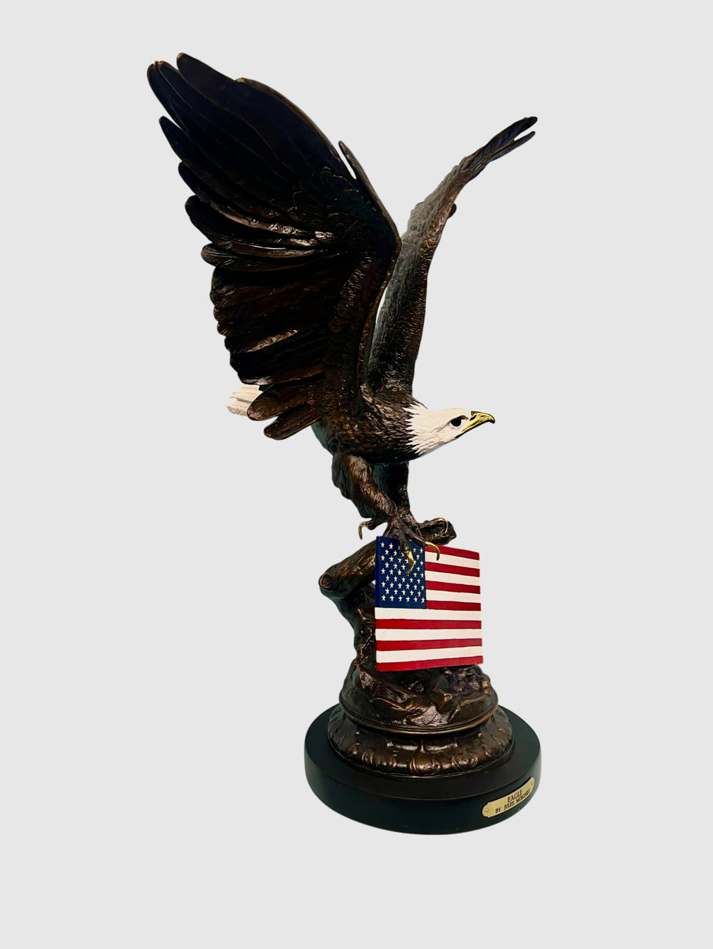 Eagle with American Flag