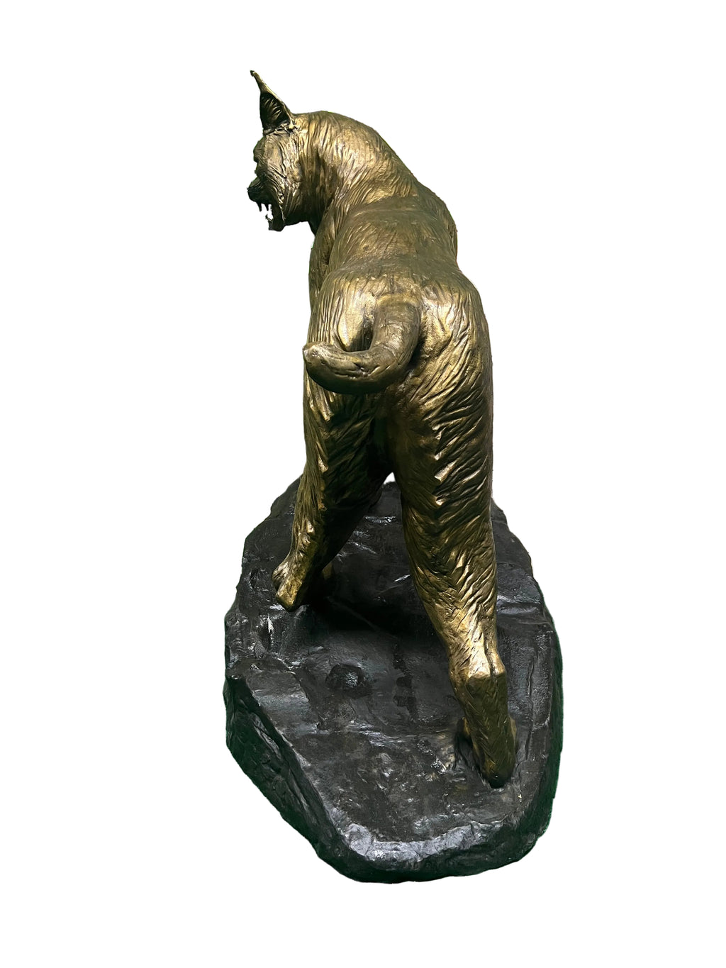 Wildcat