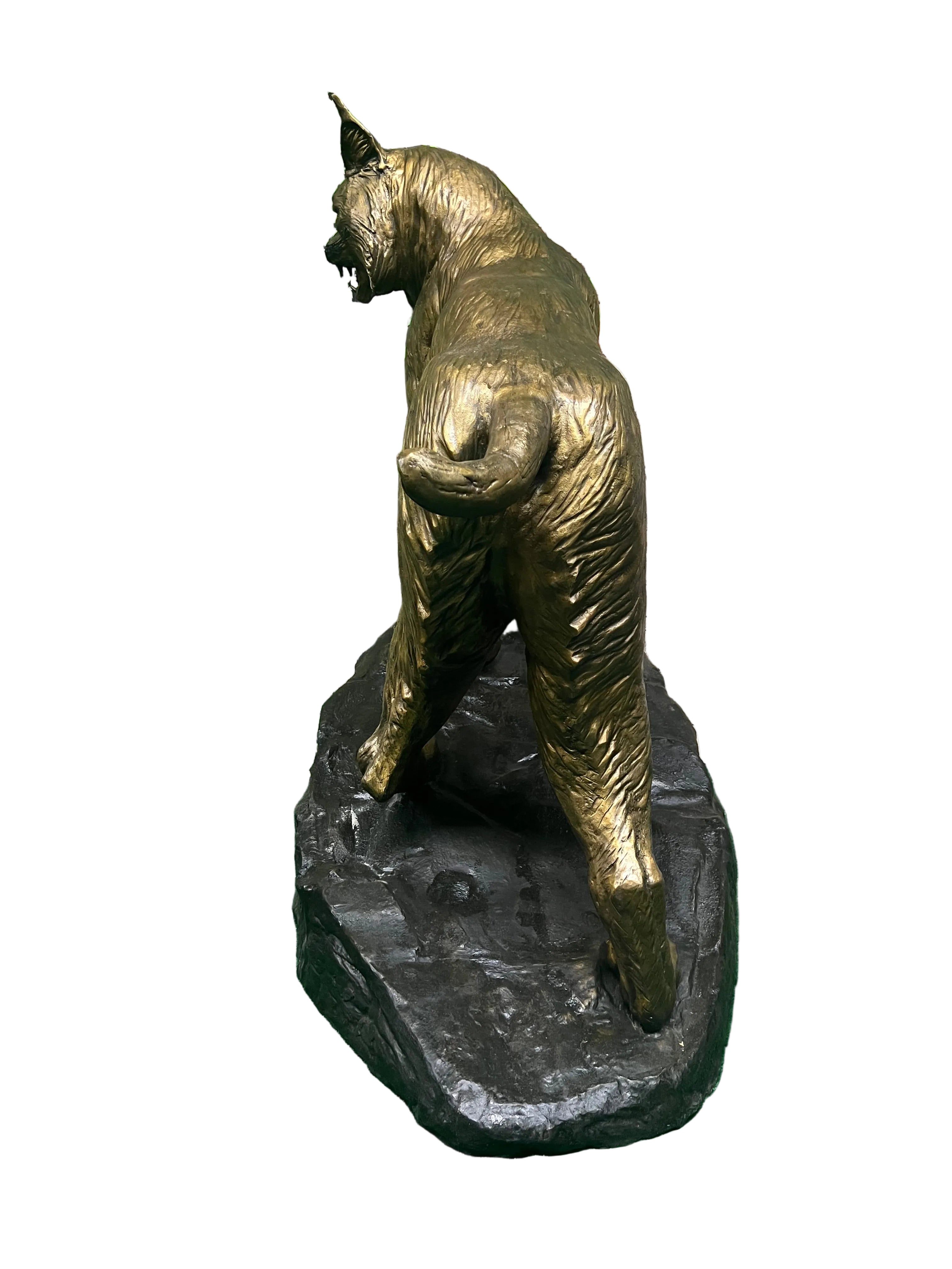 Wildcat